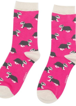 Ladie’s Bamboo Socks –  Badgers